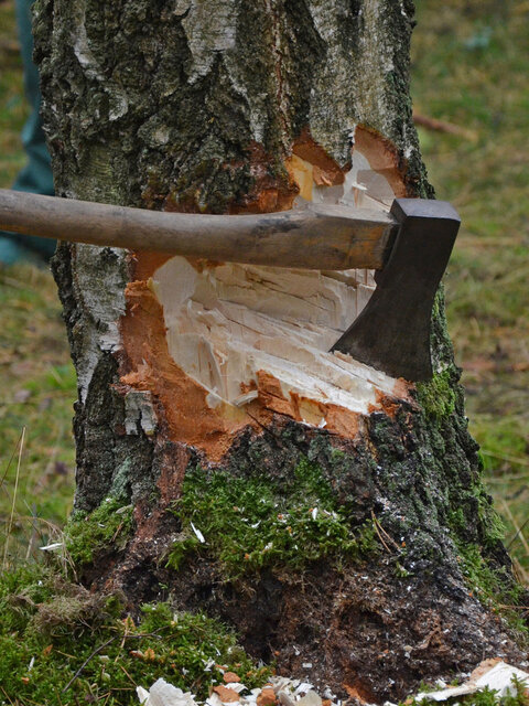 Wir suchen zur Verstärkung
unseres Teams    